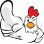 鸡