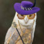 Pimp Owl