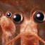 BUBBLE'O KRILL