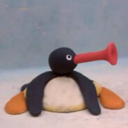Pingu@bandit