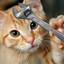 Sprzedawca