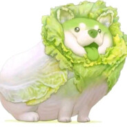 国际友人王德法