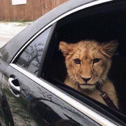 Альбина сексова