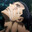 What Is Your Type avatar