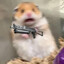 风