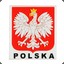 POLSKI_PUNISHER