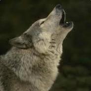 Paladin - steam id 76561197964480284
