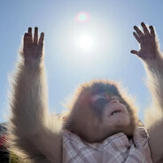 Monke_Cultist