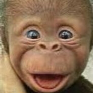 Putin is the king of the world