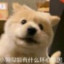 给你放烟花看