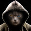Fluffy K1tty