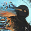 Neuropunk's avatar