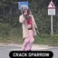 Crack Sparrow