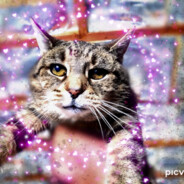poupou - steam id 76561197961858139