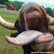 Darst - steam id 76561197961191495