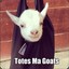 Totes Mah Goats