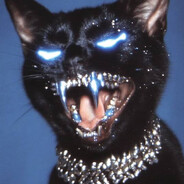 catsniffer®