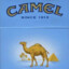 Camel Blue