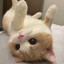 富婆扣6加我