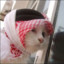 أنا أمارس الجنس م