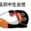 德国第一空军上校