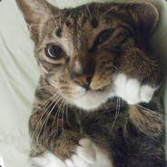 w!ng - steam id 76561198204268839