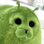 Gnorp