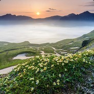 黑翼大魔殿下丶