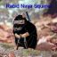 Rabid Ninja Squirrel