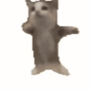 阳光彩虹小白马