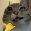 cIav0kk3