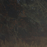 苍白骑士的诅咒