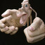 Homunculus