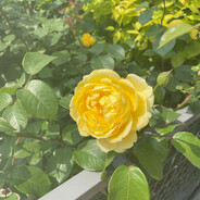 给你看看八十岁的反应