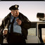 FAT COP