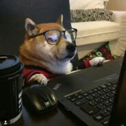 扎女孩的小辫子