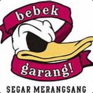 BASAT™ BASAT™ ¾ ²Æ