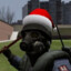 DanMod228