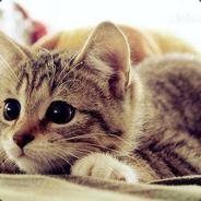 Missen[DK]
