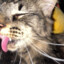 pixel