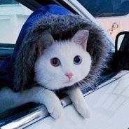 Царапка