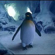 {FITH}™purple.penguin