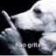 Nao Grita