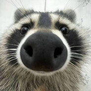 imokisss - steam id 76561199767672434