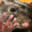HeadGettingRat