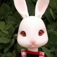 兔子不吃胡萝卜