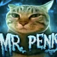 Mr.Penis