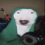 bellyfishy