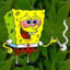 Stoned SpongeBOB