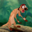 King Kong Timon